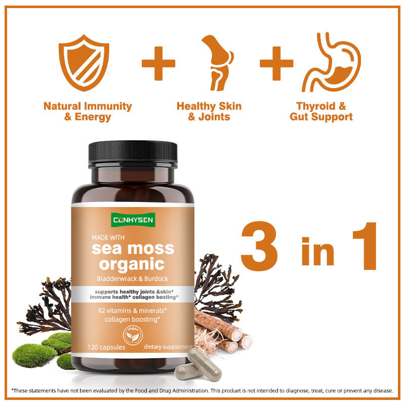 জৈবিক সমুদ্রের ময়ূর ক্যাপসুল যা ব্লেজ-ব্রেক করে