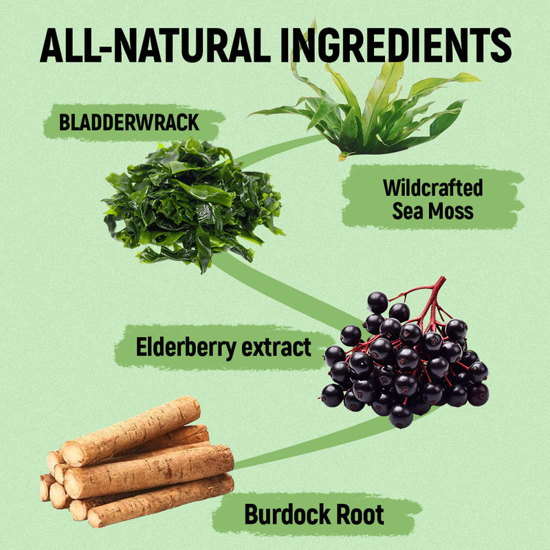 ভিটামিন সি সহ সমুদ্র ময়ূর গাম্মি জিংক সরবরাহকারী কারখানা অ্যান্টিঅক্সিড্যান্ট সমর্থন