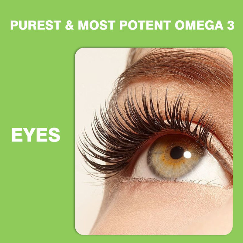 শিশু এবং প্রাপ্তবয়স্কদের জন্য সেরা বিক্রি হওয়া ওমেগা 3-6-9 গামি ভিটামিন, মস্তিষ্ক এবং হৃদয়ের জন্য সাপ্লিমেন্ট, কিশোর-কিশোরীদের জন্য ডিএইচএ সাপ্লিমেন্ট