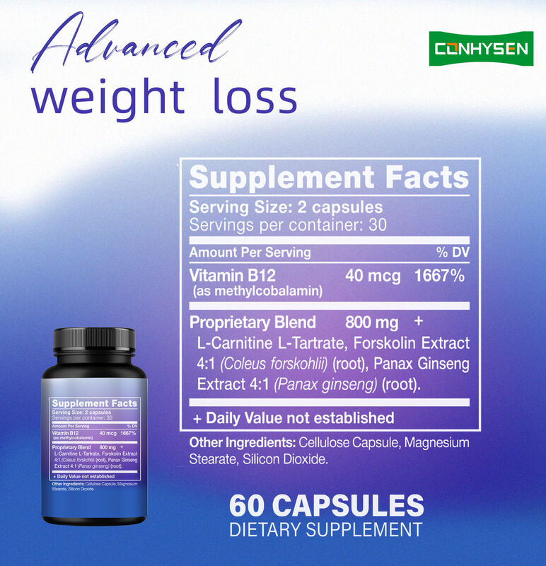 পুরুষদের জন্য শীর্ষ মানের ফ্যাট বার্নার সম্পূরক মহিলাদের সাথে প্যানাক্স জিনসেং, এল-কার্নিটিন এক্সট্র্যাক্ট 60 নিরামিষ চর্বি খাদ্যতালিকাগত ফাইবার