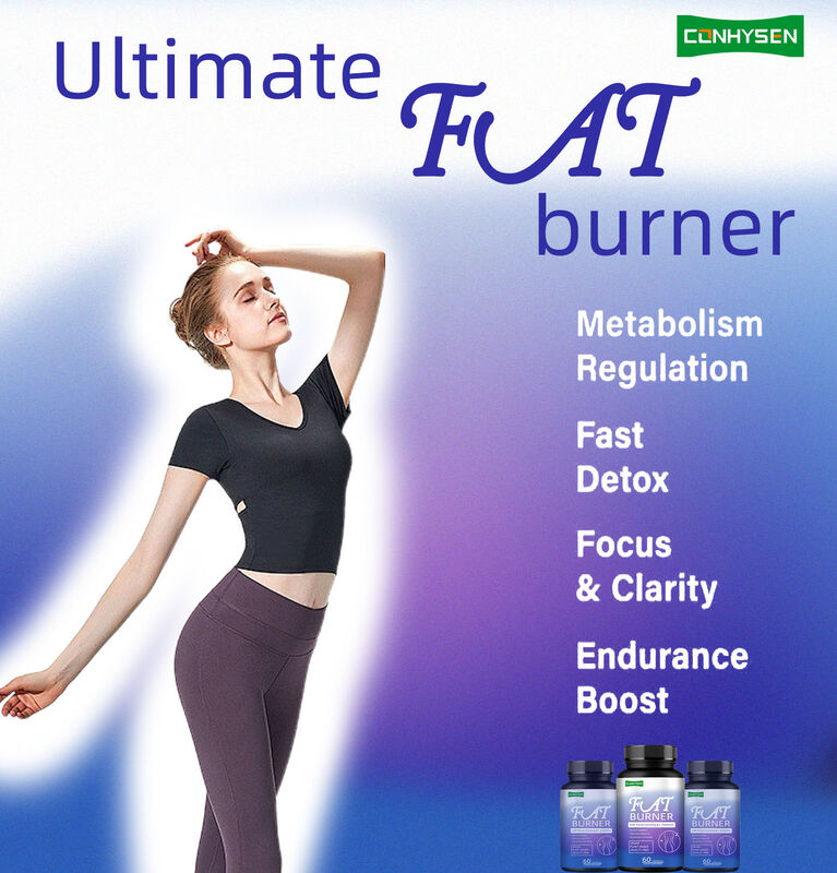 পুরুষদের জন্য শীর্ষ মানের ফ্যাট বার্নার সম্পূরক মহিলাদের সাথে প্যানাক্স জিনসেং, এল-কার্নিটিন এক্সট্র্যাক্ট 60 নিরামিষ চর্বি খাদ্যতালিকাগত ফাইবার