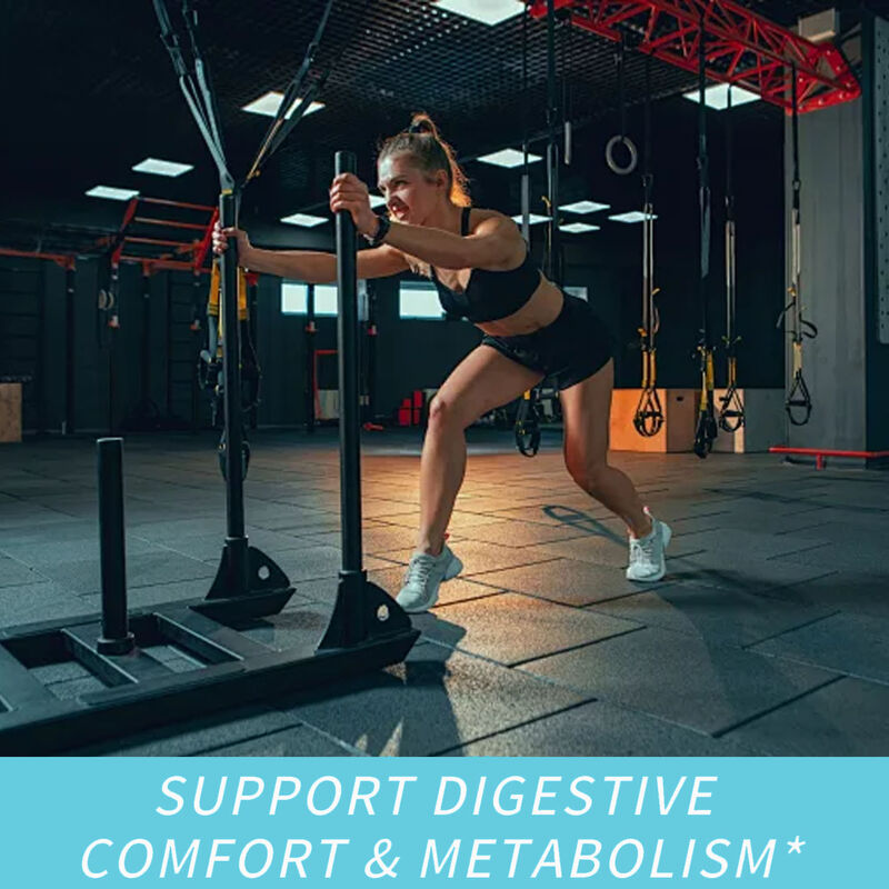 প্রাইভেট লেবেল ডায়েটারি ফাইবার সাপ্লিমেন্টস ফ্যাট বার্নার ক্যাপসুল বিউটি প্রোডাক্টস সাপ্লিমেন্ট অ্যাপেটাইট সাপ্রেসেন্ট ও এনার্জি বুস্টার